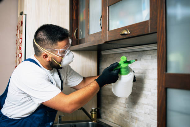 Best Termite Control Services  in Walled Lake, MI