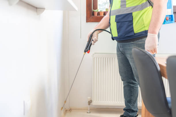 Best Ant Control Services  in Walled Lake, MI