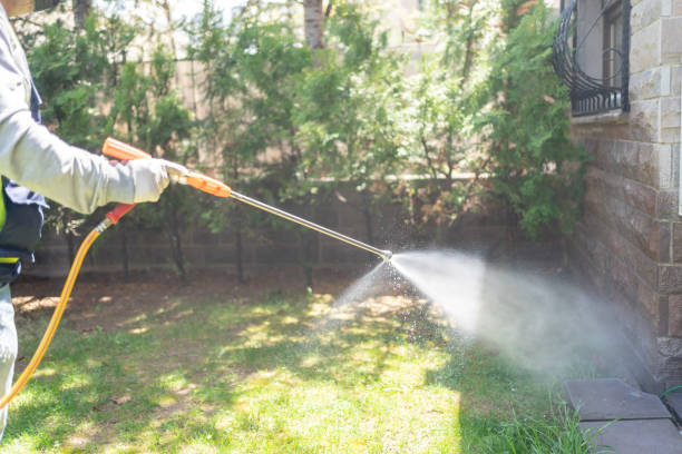Best Emergency Pest Control  in Walled Lake, MI