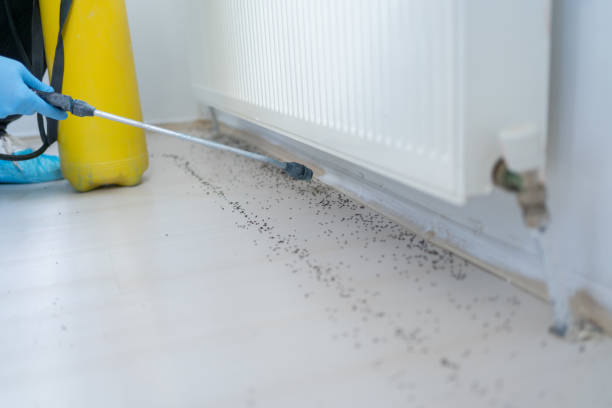 Best Affordable Pest Control Services  in Walled Lake, MI